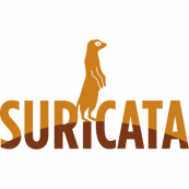 logo solution suricata